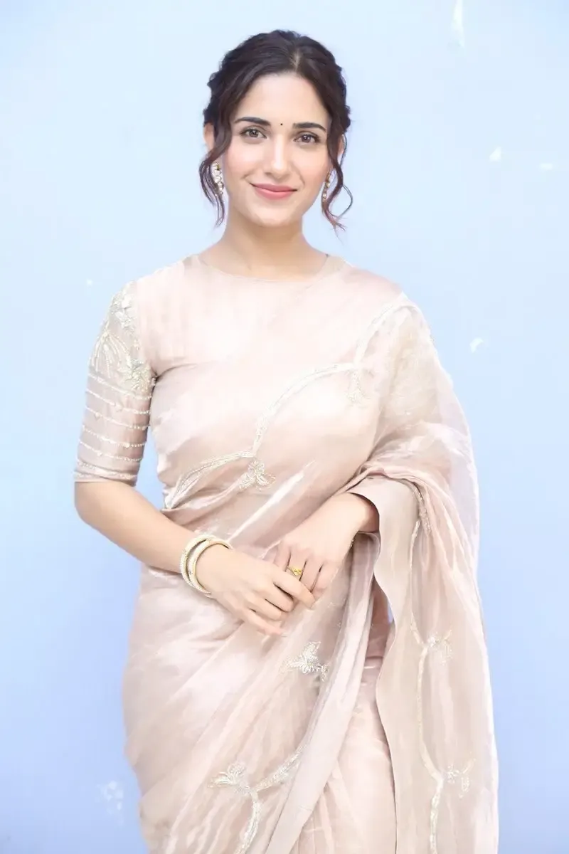 ACTRESS RUHANI SHARMA IN PINK SAREE AT MOVIE TRAILER LAUNCH 6